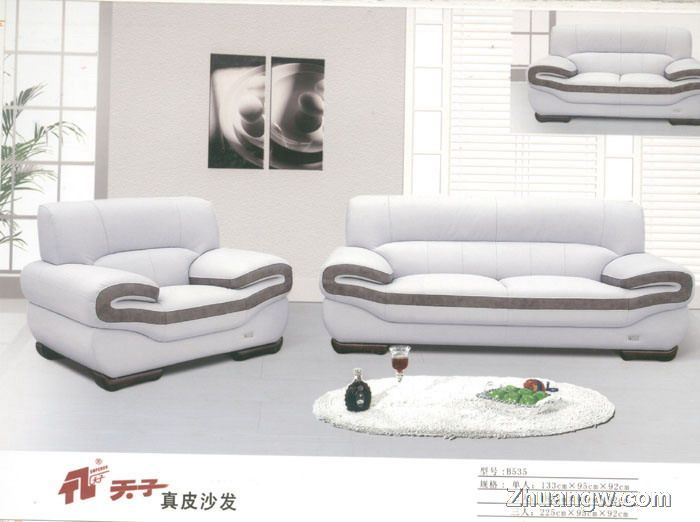 天子沙發(fā)家具圖片(九) 匠心工藝，盡顯客廳典雅風范